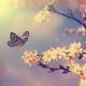 Spiritual Activation; Dissolving Density and Discord Session
