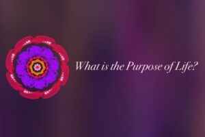 The Purpose of Life