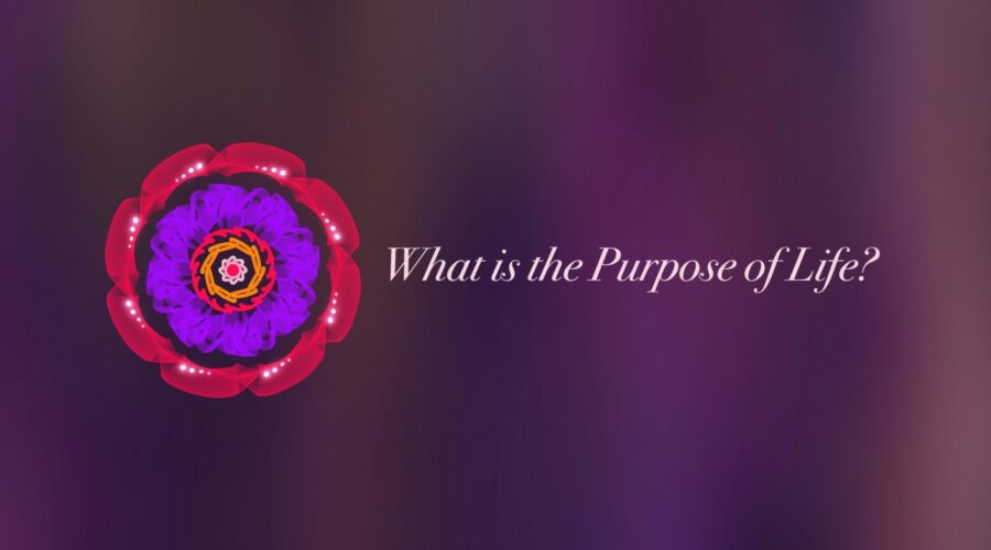 The Purpose of Life