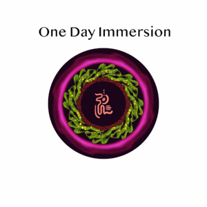 one day immersion logo